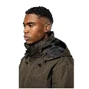 55.webp